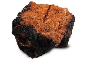 樺樹茸怎么吃？樺樹茸正確吃法