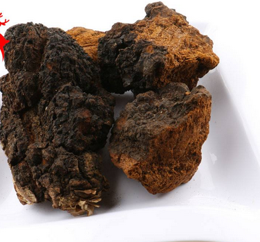 樺樹茸怎么吃？樺樹茸正確吃法