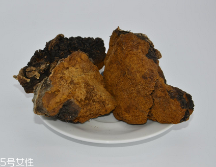 樺樹(shù)茸怎么泡水喝？樺樹(shù)茸泡水喝法