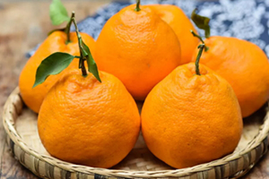 耙耙柑可以和牛奶一起吃嗎？耙耙柑和牛奶一起吃的壞處