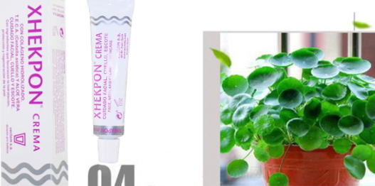 xhekpon頸紋霜多少錢？西班牙頸紋霜購買渠道