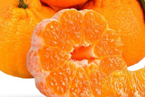 丑八怪可以放冰箱嗎？丑八怪怎么保存