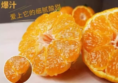 丑柑適合什么地方種植？丑柑上市時間