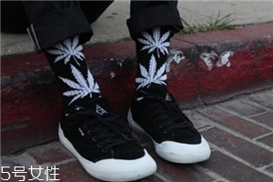 楓葉襪子是什么牌子？楓葉襪子品牌介紹