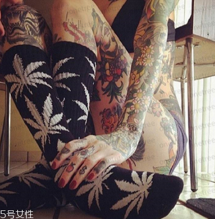 楓葉襪子正品多少錢(qián)？楓葉襪子價(jià)格詳情