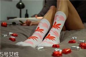 楓葉襪子正品多少錢(qián)？楓葉襪子價(jià)格詳情