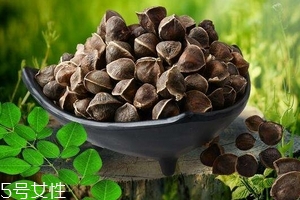 辣木籽能治口臭嗎？口臭吃辣木籽好嗎？