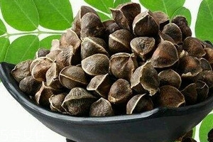 辣木籽哪里產(chǎn)的好？哪里的辣木籽最好？