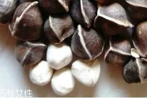 辣木籽味道 辣木籽甜還是苦？