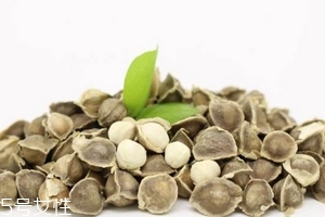 辣木籽是藥材嗎？辣木籽屬于什么？