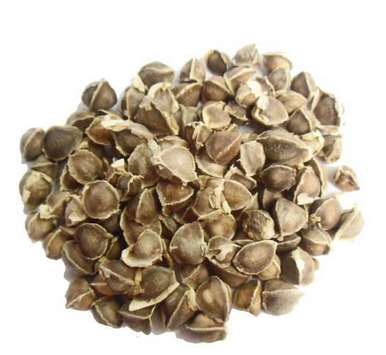 辣木籽是藥材嗎？辣木籽屬于什么？