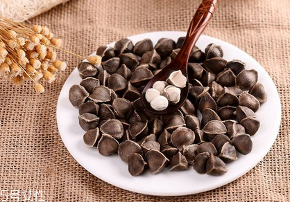 辣木籽是藥材嗎？辣木籽屬于什么？