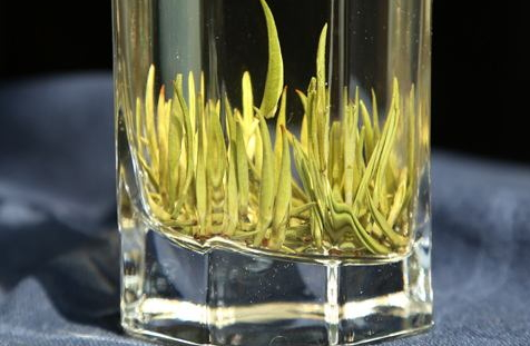 君山銀針多少錢一斤 君山銀針品牌推薦 君山銀針多少錢一斤 君山銀針品牌推薦