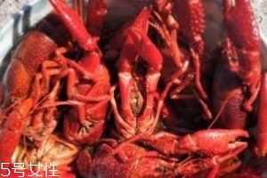 麻辣小龍蝦是發(fā)物嗎？麻辣小龍蝦的性質