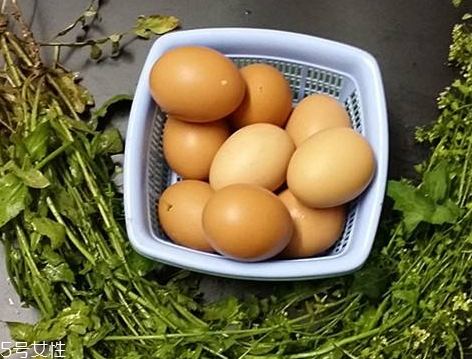 地菜花薺菜花煮雞蛋上午吃還是下午吃？