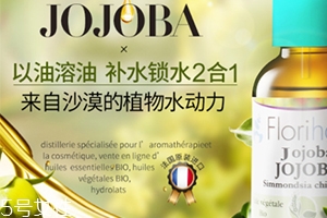 荷荷巴油和玫瑰果油哪個(gè)好？霍霍巴油和玫瑰果油對(duì)比