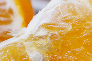 沃柑是橘子還是橙子？沃柑是熱性還是涼性