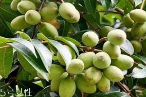 橄欖不能和什么一起吃 橄欖相克食物 橄欖不能和什么一起吃 橄欖相克食物