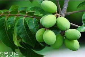 橄欖可以放冰箱嗎 新鮮橄欖怎么保存時(shí)間長(zhǎng) 橄欖可以放冰箱嗎 新鮮橄欖怎么保存時(shí)間長(zhǎng)