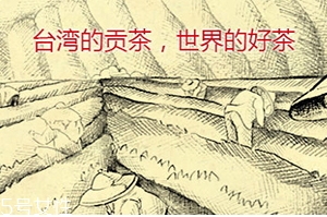 四云奶蓋貢茶哪個(gè)好喝？四云奶蓋貢茶點(diǎn)單攻略