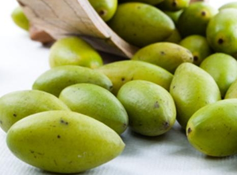 橄欖能減肥嗎 橄欖的熱量是多少 橄欖能減肥嗎 橄欖的熱量是多少