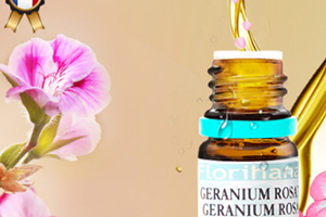 天竺葵精油可以擦臉嗎？天竺葵精油怎么擦臉