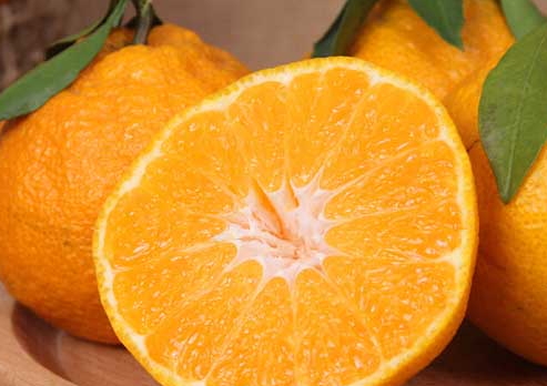 寶寶可以吃丑橘嗎？孩子多大可以吃丑橘