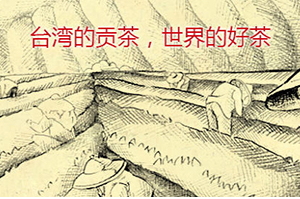 四云奶蓋貢茶哪個好喝？四云奶蓋貢茶點單攻略