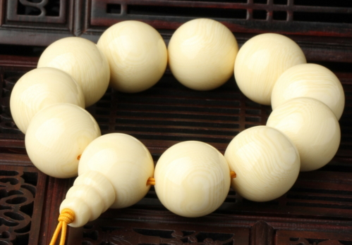 象牙果多少錢(qián)一克 象牙果為什么那么貴