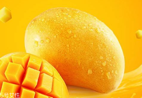 臺農(nóng)芒果上市時間 臺農(nóng)芒果什么時候成熟 臺農(nóng)芒果上市時間 臺農(nóng)芒果什么時候成熟