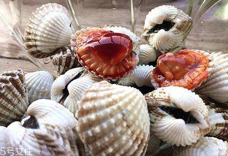 血蛤哪些人不能吃 血蛤不能和什么一起吃 血蛤哪些人不能吃 血蛤不能和什么一起吃