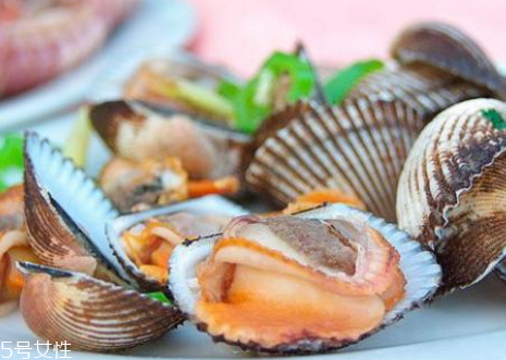 泥蚶怎么洗 泥蚶怎么洗干凈 泥蚶怎么洗 泥蚶怎么洗干凈