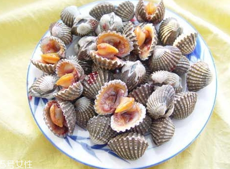 泥蚶怎么洗 泥蚶怎么洗干凈 泥蚶怎么洗 泥蚶怎么洗干凈