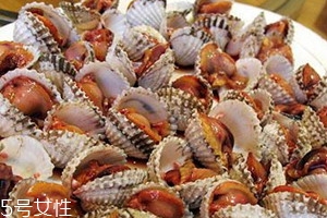 泥蚶怎么洗 泥蚶怎么洗干凈 泥蚶怎么洗 泥蚶怎么洗干凈