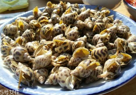 花螺怎么保鮮 花螺可以放冰箱嗎 花螺怎么保鮮 花螺可以放冰箱嗎