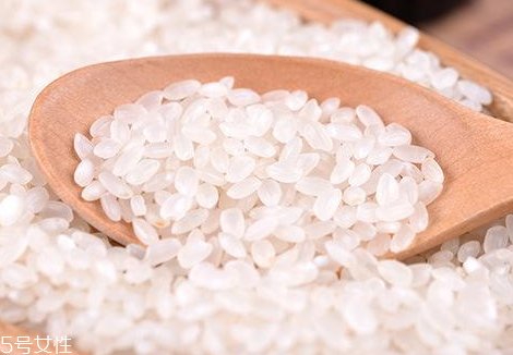 東北珍珠米好吃嗎 東北珍珠米的特點 東北珍珠米好吃嗎 東北珍珠米的特點