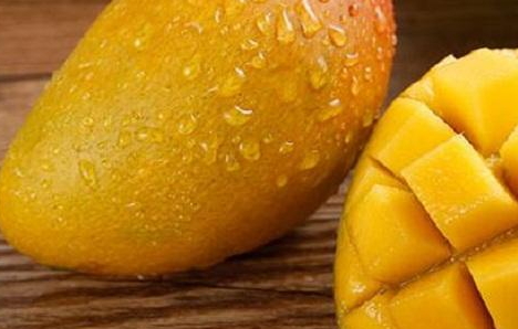 七彩芒多少錢一斤？七彩芒的功效與作用