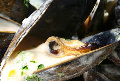 河蚌里面的黑包能吃嗎 河蚌里面的黑包是什么 河蚌里面的黑包能吃嗎 河蚌里面的黑包是什么