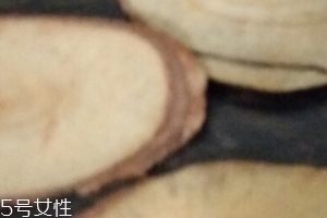 東革阿里是中藥嗎？東革阿里是什么？