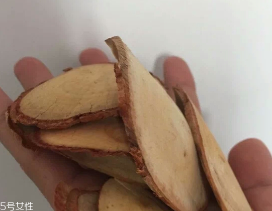 東革阿里是中藥嗎？東革阿里是什么？