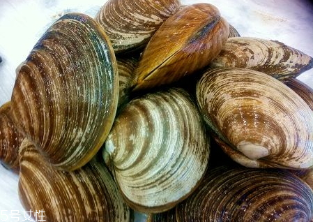 毛蛤蜊煮多長(zhǎng)時(shí)間 煮毛蛤蜊的技巧 毛蛤蜊煮多長(zhǎng)時(shí)間 煮毛蛤蜊的技巧