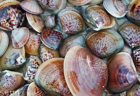 毛蛤蜊煮多長(zhǎng)時(shí)間 煮毛蛤蜊的技巧 毛蛤蜊煮多長(zhǎng)時(shí)間 煮毛蛤蜊的技巧