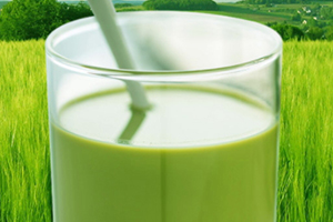 大麥若葉青汁豆奶多少錢？網(wǎng)紅貝花子大麥若葉青汁豆奶