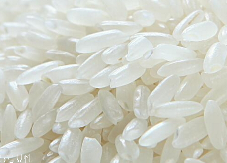 貢米是什么米 貢米怎么樣 貢米是什么米 貢米怎么樣