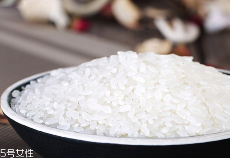 貢米是什么米 貢米怎么樣 貢米是什么米 貢米怎么樣