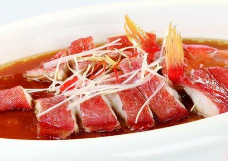 東星斑多少錢一斤 挑選東星斑的方法 東星斑多少錢一斤 挑選東星斑的方法