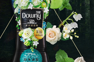 downy留香珠多少錢？當(dāng)妮留香珠一瓶容量