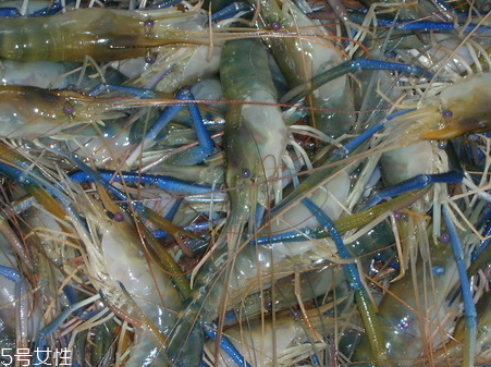 羅氏蝦和基圍蝦的區(qū)別 羅氏蝦和基圍蝦哪個(gè)營(yíng)養(yǎng)價(jià)值高 羅氏蝦和基圍蝦的區(qū)別 羅氏蝦和基圍蝦哪個(gè)營(yíng)養(yǎng)價(jià)值高