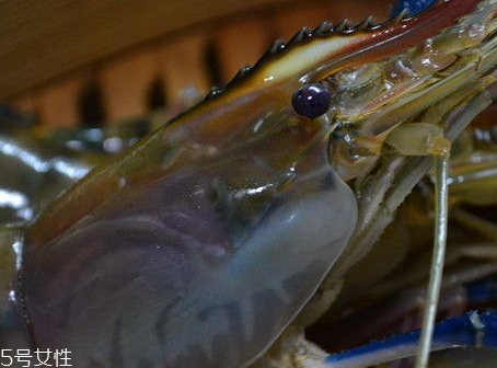 羅氏蝦和基圍蝦的區(qū)別 羅氏蝦和基圍蝦哪個(gè)營(yíng)養(yǎng)價(jià)值高 羅氏蝦和基圍蝦的區(qū)別 羅氏蝦和基圍蝦哪個(gè)營(yíng)養(yǎng)價(jià)值高