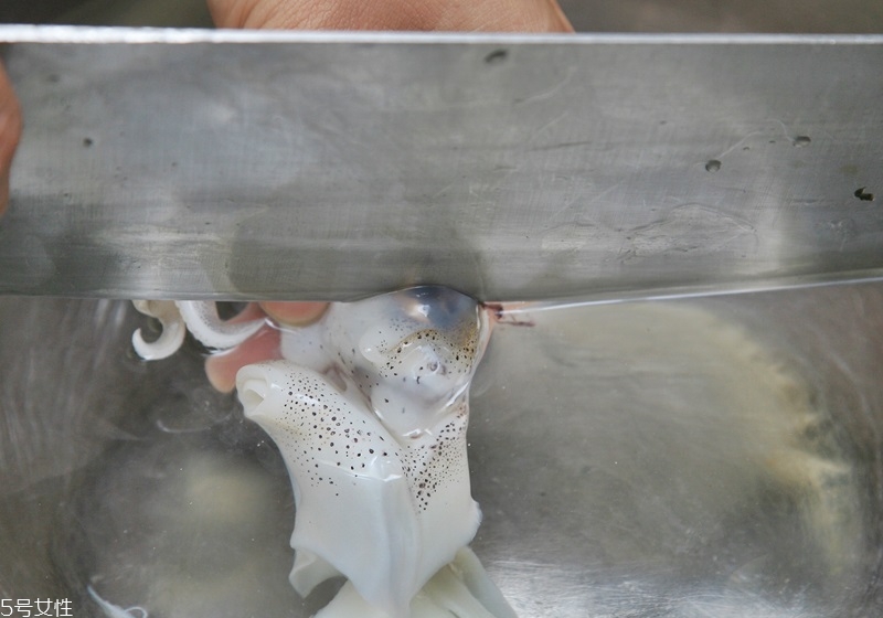 魷魚(yú)怎么做嫩 魷魚(yú)怎么處理不硬 魷魚(yú)怎么做嫩 魷魚(yú)怎么處理不硬